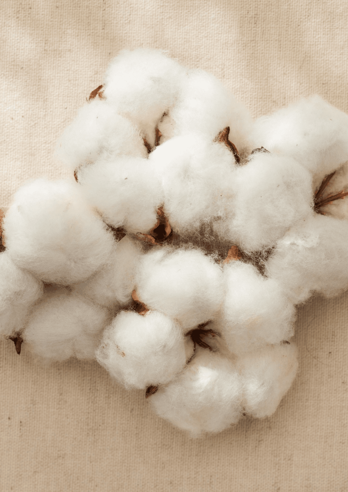 Herzensdinge aus der Natur